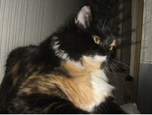 ��� � ����� ��� ������!