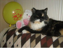 ����� � ���������� ������