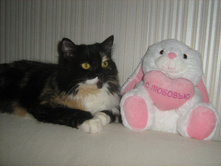 ������� �������