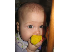 ���-���17.01.2011 11:41:55