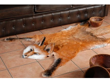 �-1041 ���� 160*100  1000���