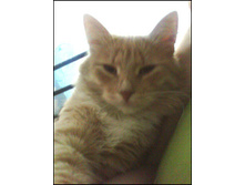 18.01.2011 11:39:42
