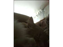 18.01.2011 11:39:48