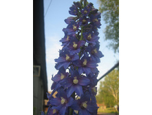 18.01.2011 13:46:38