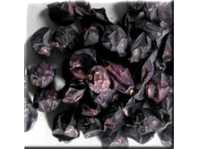 ��������, 100� - 127,5�.