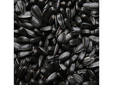 500� - 25�(10��)