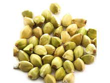 500� -75�(10��)