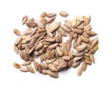 500� - 46�(10��)