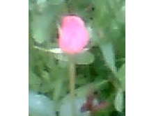 ��ϣ ������2