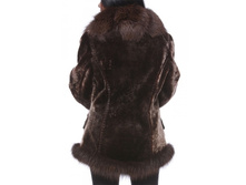 2013 ������