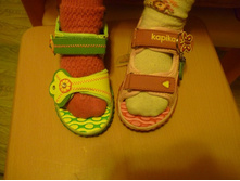 ��**��**�� 25 � 26 ������ ���� ������ ��� ����