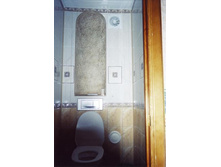 ���� ���������.������