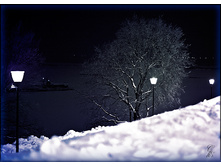 ��������� ���� 2011