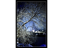 �������. ����.