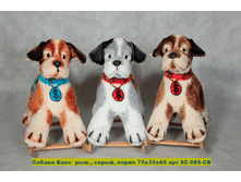 ����� ������ ���� 690 ���