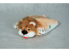 260 ��� ��� �������