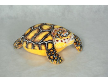 270��� �������� �������