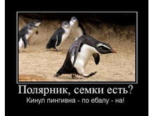 24.01.2011 14:29:04