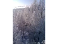 25.01.2011 23:13:36