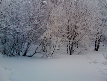 25.01.2011 23:14:58
