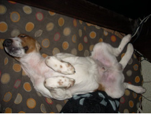 ��� �� ����:))