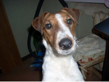 ������� ���,�������� ���