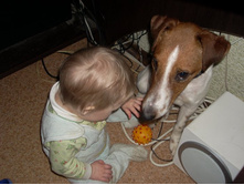 ������� �� �������....