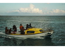 ������ �����������