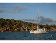 ������� ������� �� �� ����