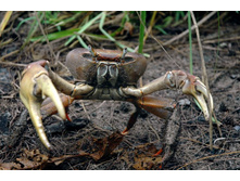 ��������������� ����