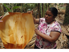 ������� �������