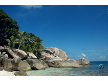 ������ ��� �� ����