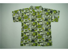 ������� ���� 79