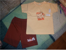 ��������� 154