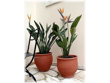 ��������� ������