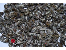 ������� ���������� ��� ��*�� �*�� (���� �������) 100 ��., 335 ���.