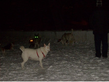 30.01.2011 0:03:33