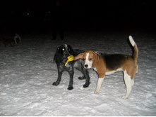 30.01.2011 0:05:34