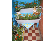 ��������� �� �������