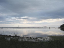 ����� ����