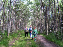 ����� �� �����