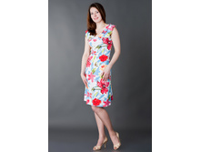 ������ 01*38-93*2  800���