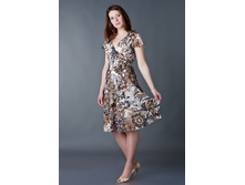 ������ 01*10-9*29   800���