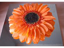 ��������� ����.gif