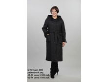 � 101 ��� 909.JPG