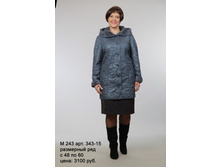 � 243 ���. 343-15.jpg