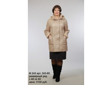 � 243 ���. 343-65.jpg