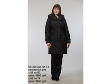 �� 309 ��� 81-13.jpg