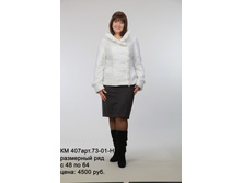 �� 407 ���. 73-01-�.jpg