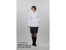 �� 219���10-1.jpg